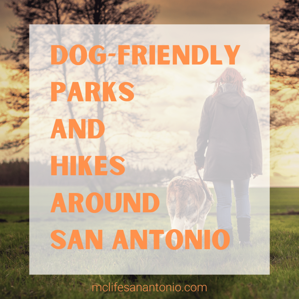 Image shows a person walking their dog in a park. Text reads "Dog-Friendly Parks and Hikes Around San Antonio. mclifesanantonio.com"