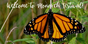 The San Antonio Zoo is hosting a 2-day Monarch Festival celebrating Monarch butterflies, their incredible migration, and everything about their species. Named the first Monarch Champion City by the National Wildlife Federation in 2017, San Antonio is a great supporter of these gorgeous creatures! 