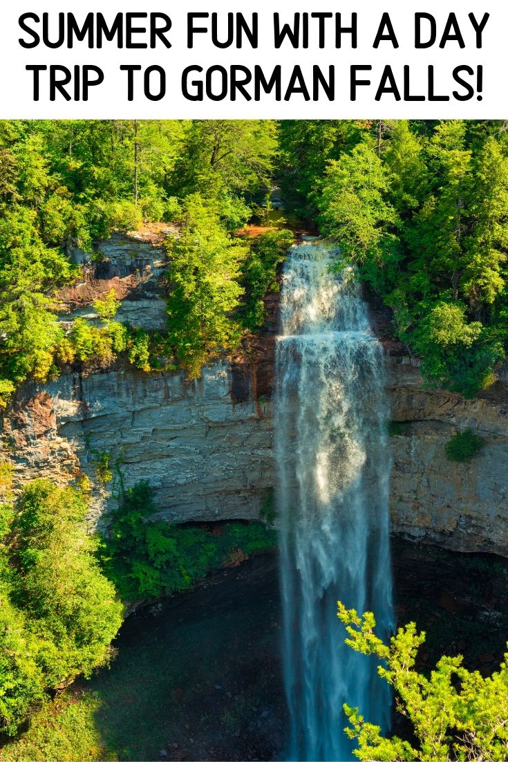 gorman falls