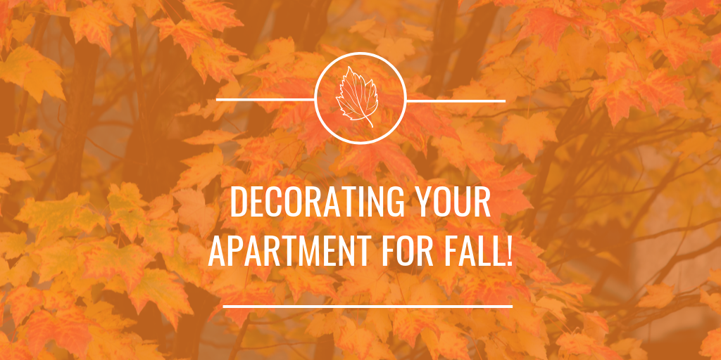 Decorating your apartment for fall doesn't have to be a hassle. There are some great and easy ways to make your apartment awesome for fall! 