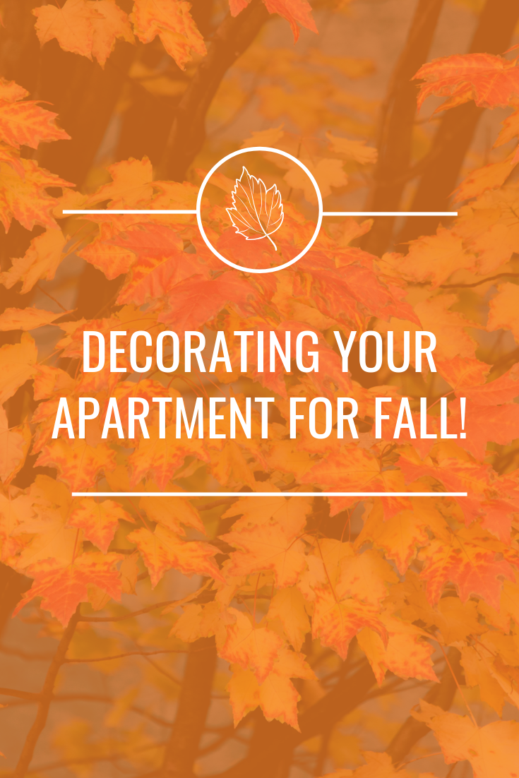 Decorating your apartment for fall doesn't have to be a hassle. There are some great and easy ways to make your apartment awesome for fall! 