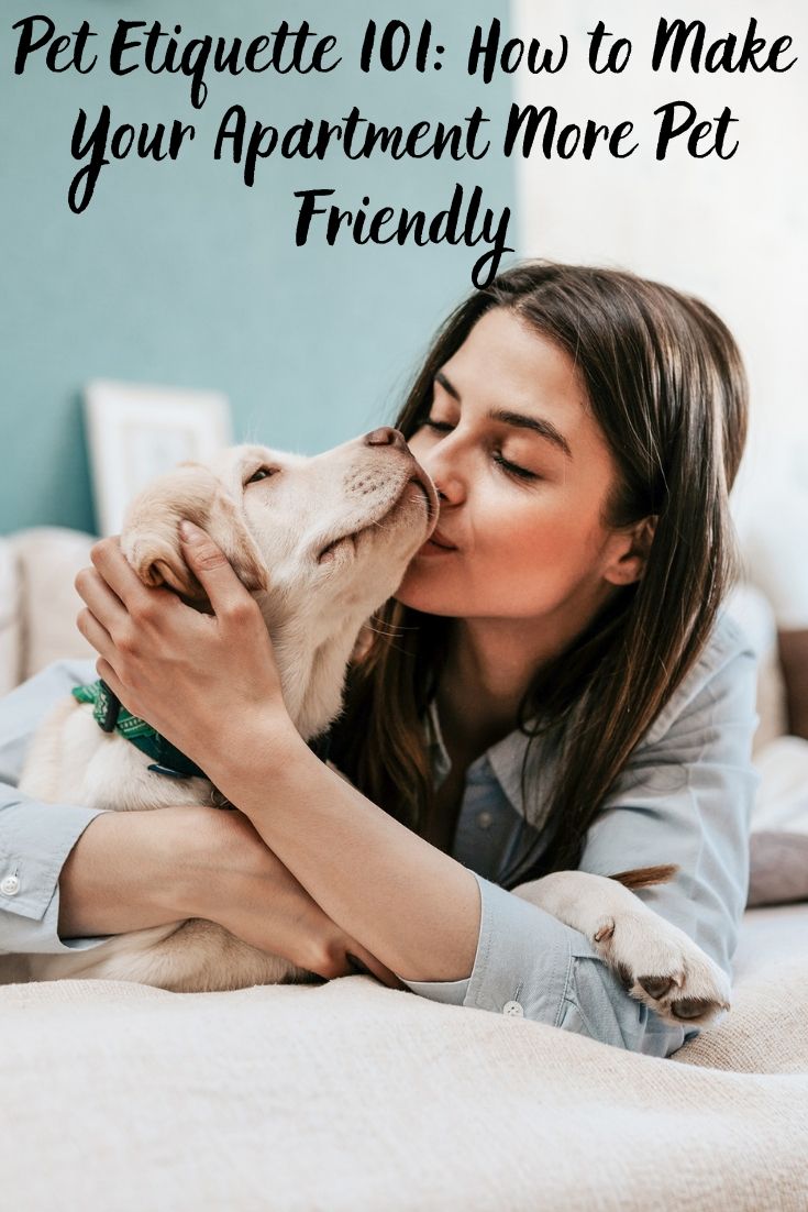 You love your furry members of the family, but you feel like you have to sacrifice your sense of style in your home decor because of them. You need pet friendly interiors that can withstand the wear and tear of your pets, and still leave your home looking great, here are some tips.