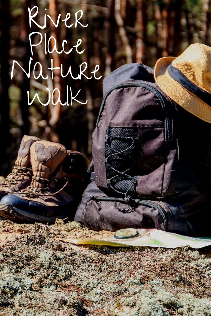 Thanksgiving is just days away and if you and your visiting guests wish to work up your appetite, take a trip to River Place Nature Walk where you can climb a natural staircase in the middle of the woods. It will feel like you’re in a fairytale!