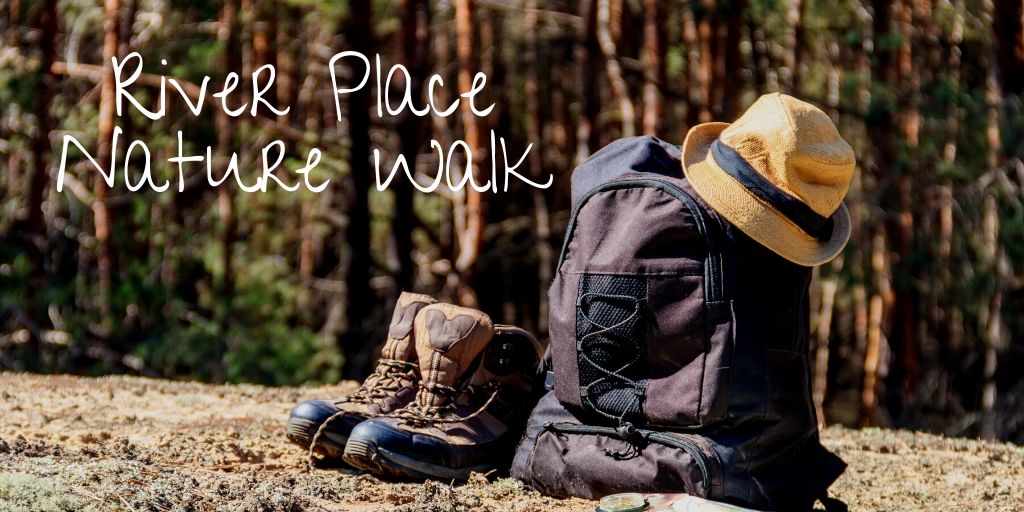 Thanksgiving is just days away and if you and your visiting guests wish to work up your appetite, take a trip to River Place Nature Walk where you can climb a natural staircase in the middle of the woods. It will feel like you’re in a fairytale!