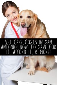 Vet Care Costs In San Antonio  How To Save For It Afford It More 2 200x300 