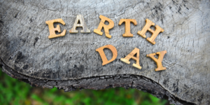 Earth Day in San Antonio might look a little different this year. If you can't get out and volunteer in San Antonio to celebrate earth day, here are some ways you can make a difference at home!
