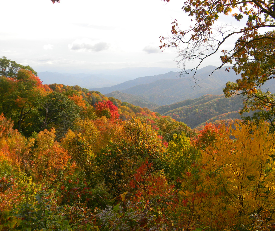 a view of the best places to see fall colors