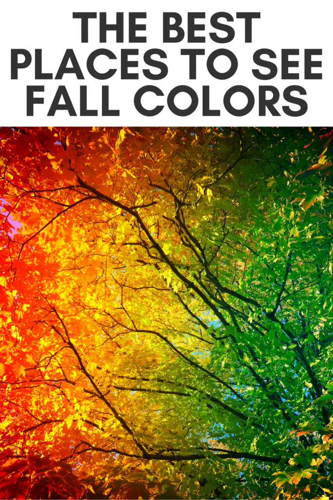 pin showing fall foliage and the best places to see fall colors